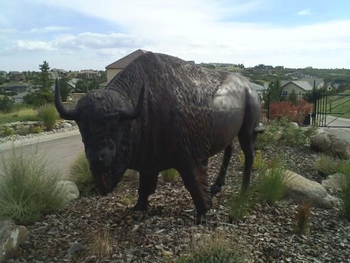 discount buffalo statues